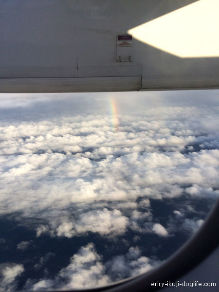 飛行機から虹が見えてとてもきれいな景色２